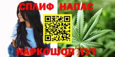 прущие грибы Севастополь