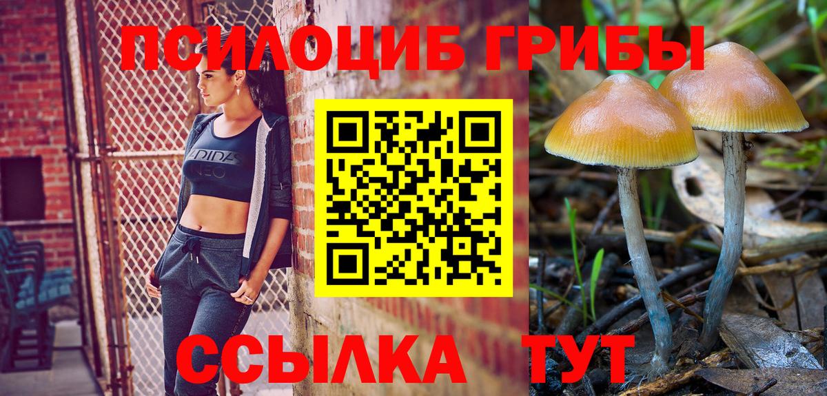 Отрадный  Галлюциногенные грибы Cubensis  Вход с VPN 